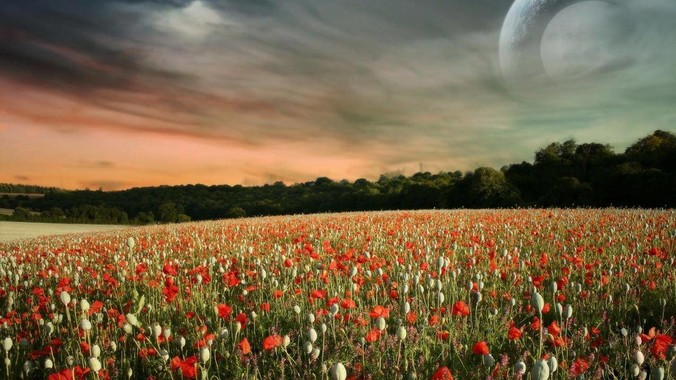 如何看待 2026QS 世界大学排名？